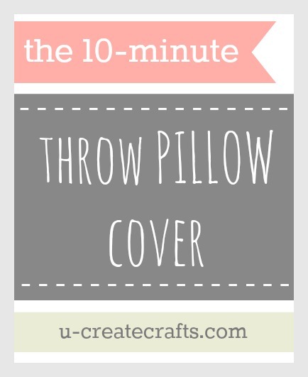[The%252010%2520Minute%2520Throw%2520Pillow%2520Cover%255B9%255D.jpg]