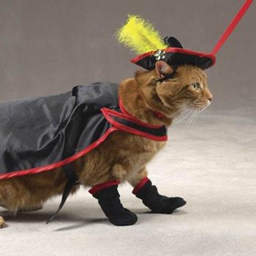 kitty-crusader-puss-boots-cat-costume-savvy-tabby