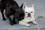 It's OK Franny, I'm going to sit this one out.  You go and have fun.