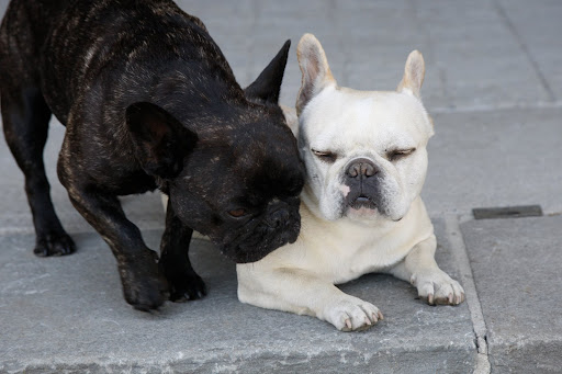 It's OK Franny, I'm going to sit this one out.  You go and have fun.