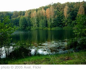 'Forest lake in summer' photo (c) 2005, Axel - license: http://creativecommons.org/licenses/by/2.0/