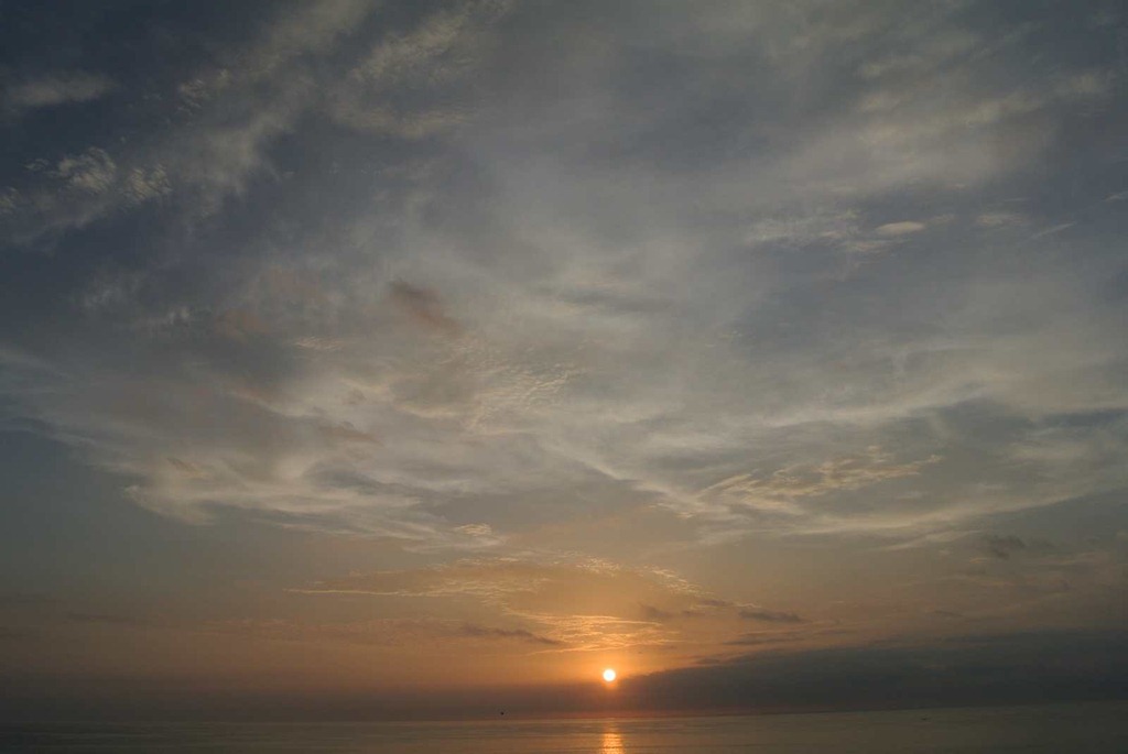 [DSC_72323.jpg]