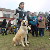 DSC08654.JPG