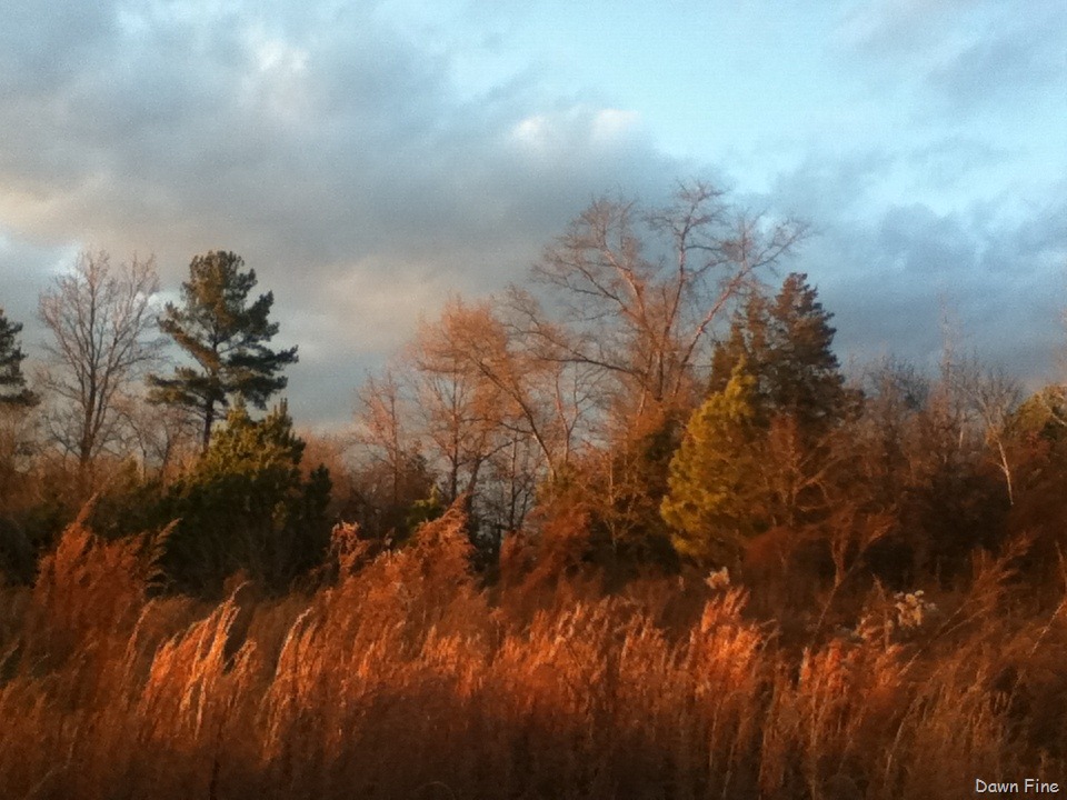 [IMG_2457%255B5%255D.jpg]