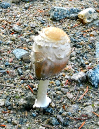 DSCN0345.jpg DSCN0345