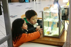 IMG_3094 IMG_3094