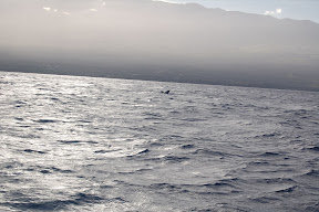 DSC_0835.JPG