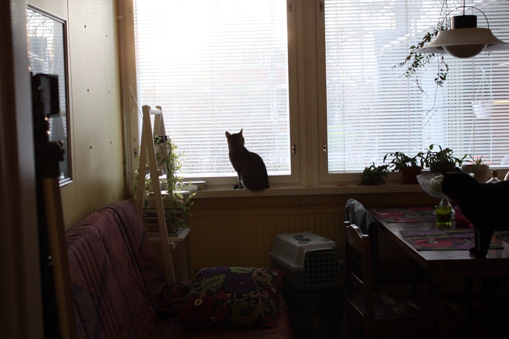 [IMG_26264.jpg]
