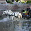 DSCN4883.JPG