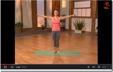 Pilates Perfect Body Arms