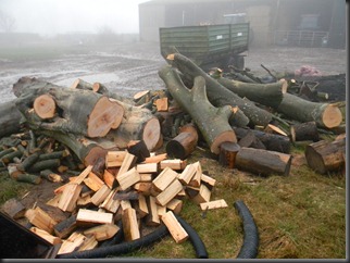 feb 6. 12 logging 001 feb 6. 12 logging 001