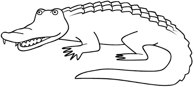 ALLIGATOR COLORING PAGES
