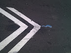 IMG_20111210_093714.jpg