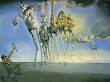 Fine Fiction Magic