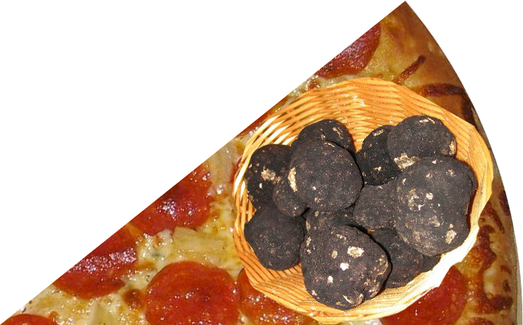 [truffle-organic-slice-copy6.png]