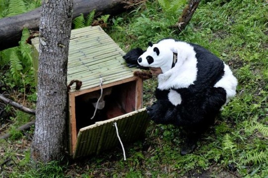 [viral-picdump-lol-a5aeec%255B2%255D.jpg]