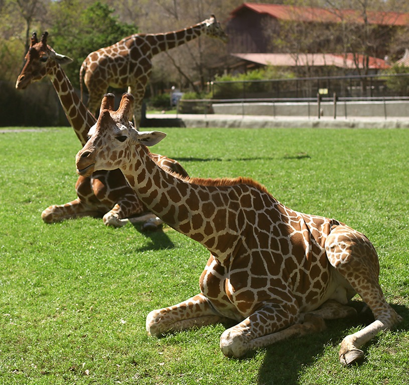 [IMG_2697w%255B1%255D.jpg]