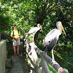 IMG_2623.JPG