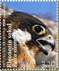 Eleonoras Falcon