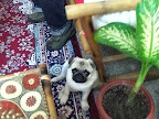 IMG_0062.jpg