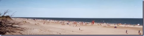clip_image002 clip_image002