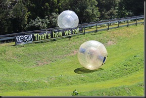 IMG_4957 IMG_4957