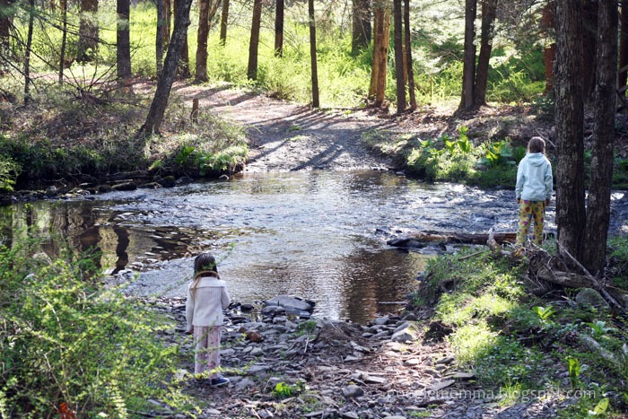 [water%2520house13%255B3%255D.jpg]