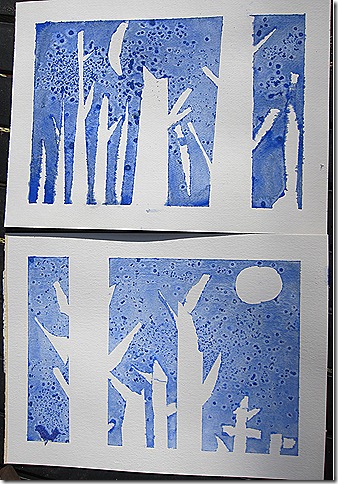 IMG_2232 IMG_2232