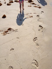 footprints w daddy