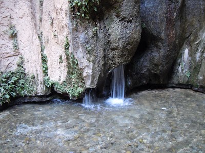 DSCN3886.jpg