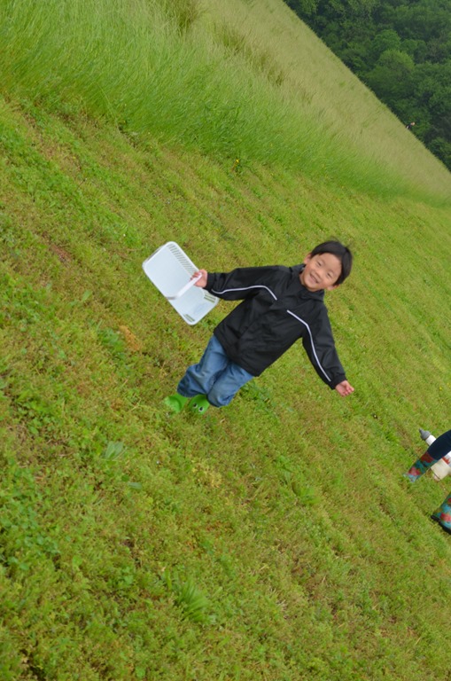 [DSC_12466.jpg]