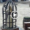 40.MOV