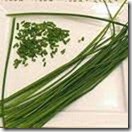 chives chives