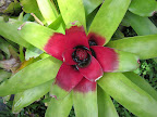 Sprachaufenthalt Costa Rica