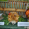 DSC_0174.JPG