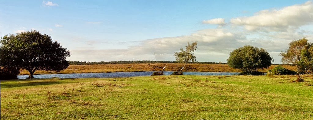 [DSC00511-1200x900-Stitch4.jpg]