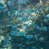IMG_1317.JPG