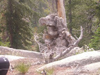 DSCI0043.JPG