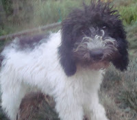 Gorgeousdoodles<br />
Magaleina Maggie