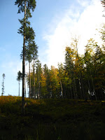 IMG_4057.JPG Photo