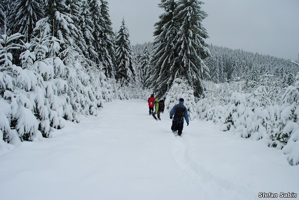 baiului-25.JPG