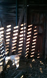 2011-10-22 17.24.03.jpg