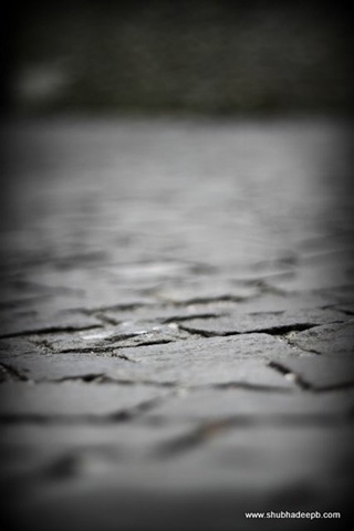 [IMG_70751.jpg]