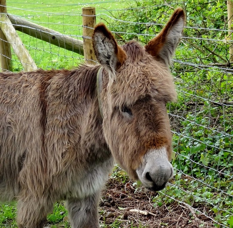 [DSC05457%2520%25281300x1273%2529%255B4%255D.jpg]