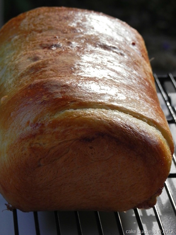[cinnamon-raisin-swirl-bread-7%255B6%255D.jpg]