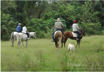 th-paseos-a-caballo-04.jpg th-paseos-a-caballo-04.jpg