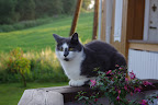 IMGP0111.JPG