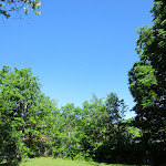 IMG_0917.jpg
