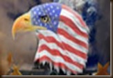 american flag eagle
