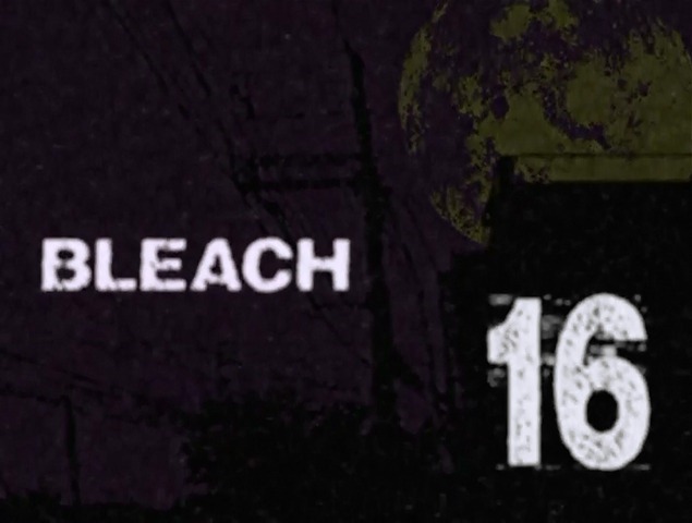 [Bleach-16-Title2.jpg]